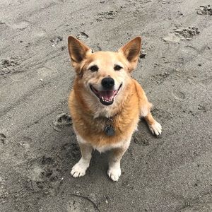 Meet your Posher, Maureen